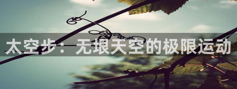 米兰体育在线