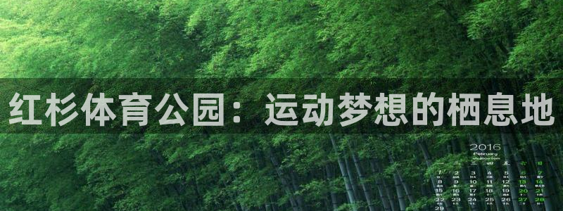 米兰体育登录：红杉体育公园：运动梦想的栖息地