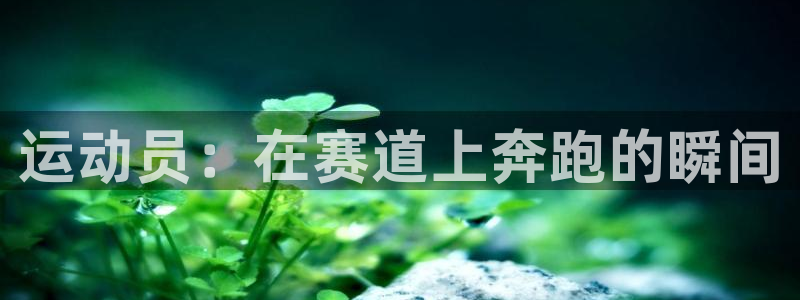 米兰体育中心