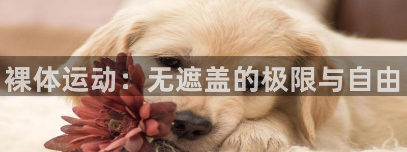 米兰体育下载