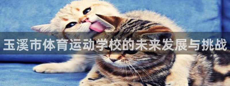 米兰体育网页版：玉溪市体育运动学校的未来发展与挑战