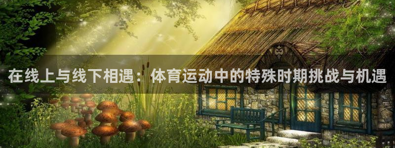 米兰体育靠谱吗：在线上与线下相遇：体育运动中的特殊时期挑战与机遇
